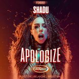 Shadu - Apologize
