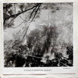 PJ Harvey - A Child's Question, August