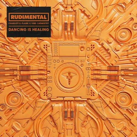 Rudimental, Charlotte Plank, Vibe Chemistry - Dancing Is Healing