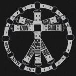 Pussy Riot, Boys Noize & Alice Glass - Chastity
