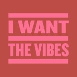 Kevin McKay & Martin Badder & Mr. V - I Want The Vibes (Extended Mix)
