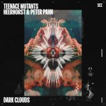 Teenage Mutants, Heerhorst & PETER PAHN - Dark Clouds (Original Mix)