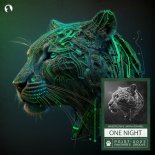 Bazzflow & Jarah Damiel - One Night (Extended Mix)