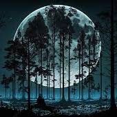 Maltek - Black forest