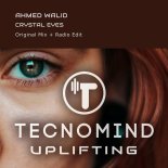 Ahmed Walid - Crystal Eyes (Extended Mix)