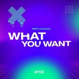 MI37 - What You Want (Extended)
