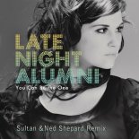 Late Night Alumni - You Can Be The One (Sultan & Ned Shepard Remix)