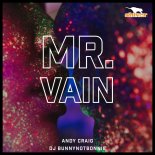 Andy Craig, DJ Bunnynotbonnie - Mr Vain (Radio Mix)