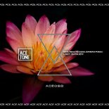 Nari & Dead As Disko & Sandro Puddu - Lady Dancer (Original Mix)