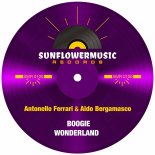 Antonello Ferrari & Aldo Bergamasco - Boogie Wonderland (Antonello Ferrari & Aldo Bergamasco Club Mix)