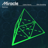 Calvin Harris, Ellie Goulding - Miracle (James Hype VIP)
