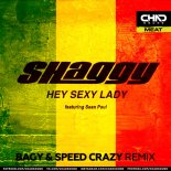 Shaggy feat. Sean Paul - Hey Sexy Lady (Bagy & Speed Crazy Extended Mix)