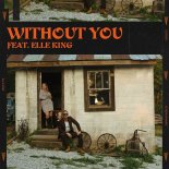 Diplo Feat. Elle King - Without You