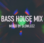 BASS HOUSE MIX - MIXED BY SLOWLEEZ