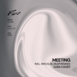 Gaba Kamer - Meeting (Original Mix)