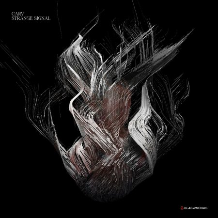 CARV - Strange Signal (Original Mix)