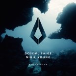 Dosem, Paige, Nihil Young - Amethyst (Extended Mix)