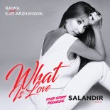 Raiwa feat. Kati Arzhanova - What Is Love (SAlANDIR Remix) [Radio]