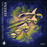 Tom & Collins feat. Thomas Newson & Pave - Serena ( Radio Edit )