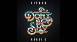 Tiësto & Karol G - Don’t Be Shy (Vostokov remix)