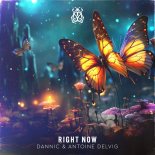 Dannic & Antoine Delvig - Right Now (Extended Mix)