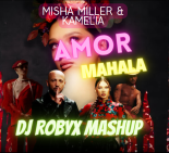 Misha Miller X Sasha Lopez X Dj Dark X Artem Splash & Kamelia - Amor Mahala (Dj RobyX Mashup) (2023)