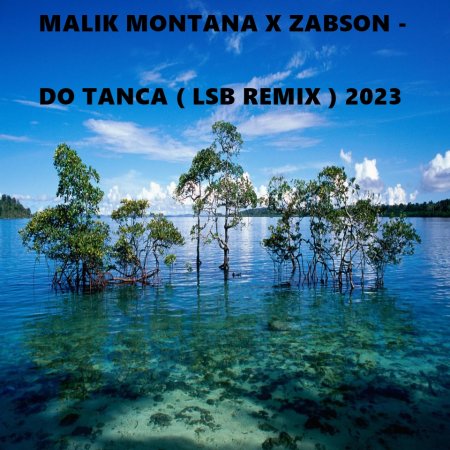 MALIK MONTANA X ZABSON - DO TANCA ( LSB REMIX ) 2023