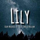 Alan Walker feat. K-391 & Emelie Hollow - Lily (DJ Brooklyn Edit)