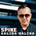 Spike - Kalina Malina (Cover)