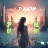 梦 然 - 是 你  Shi Ni (D Kash Remix)