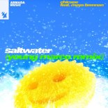 Chicane Feat. Moya Brennan - Saltwater (Young Marco Remix)