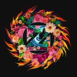 Zedd & BEAUZ Feat. Maren Morris - Make You Say (Ellis Remix)