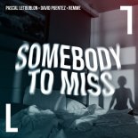 Pascal Letoublon feat. David Puentez & Remme - Somebody To Miss