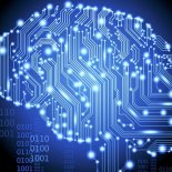 Fred-E Skywalker - On my Mind