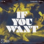 Tungevaag x SMACK - If You Want (Extended Mix)