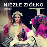 Mr Sebii - Niezłe Ziółko (Radio Edit)