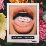 Shaun Frank feat. DYSON - No Future