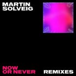 Martin Solveig & Faouzia - Now Or Never (Creange Remix)