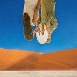 Pavelalt feat. DANNEE - Desire