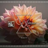 Nari, Steve Tosi - Sorcerer (Original Mix)