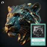 Setou & Senyo, Saif Love & B Martin - Accessible (Extended Mix)