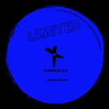 Hybridz (IT) - Excuse Me (Original Mix)