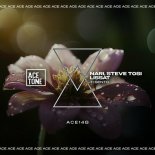 Nari, Lissat, Steve Tosi - Guantanamera (Original Mix)