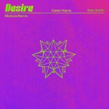 Calvin Harris & Sam Smith - Desire (MEDUZA Extended Remix)