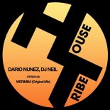 Dario Nunez, DJ Neil - MERIMBA (Original Mix)