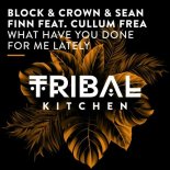 Block & Crown, Sean Finn, Cullum Frea - What Have You Done for Me Lately (Extended Mix)