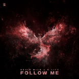Devin Wild & E-Life - Follow Me (Original Mix)