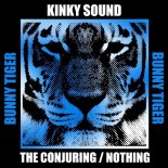 Kinky Sound - Nothing (Original Mix)