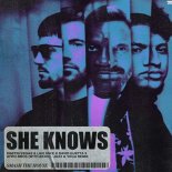 Dimitri Vegas & Like Mike, David Guetta Feat. Afro Bros with Akon - She Knows (Jaxx & Vega Extended Remix)