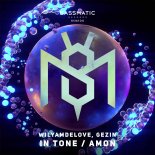 In Tone (Original Mix)